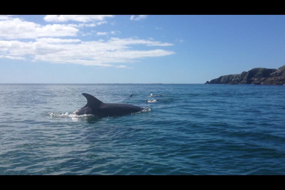 Dolphin Beach House Hotel Clifden Exterior foto