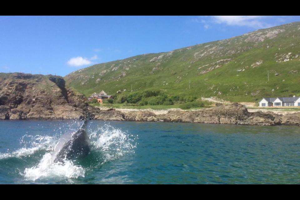 Dolphin Beach House Hotel Clifden Exterior foto